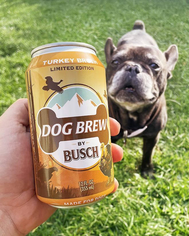 De la bière pour chien ? Oui, ça existe et elle est à la dinde